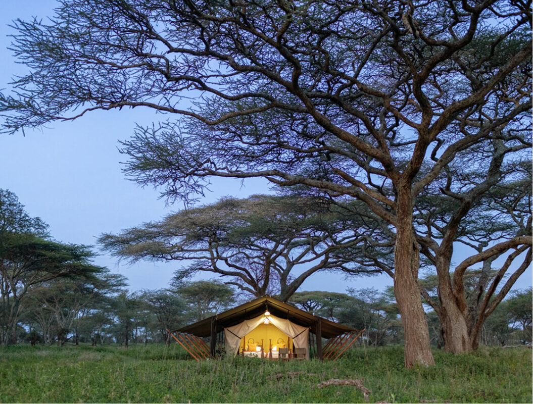 Dusk image of tented campsite at Dulana Serengeti Camp - Serengeti, Tanzania