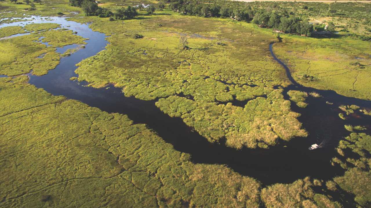 Aerial shot of wetlands in the Okavango Delta in Botswana with lots of water and lush grass.