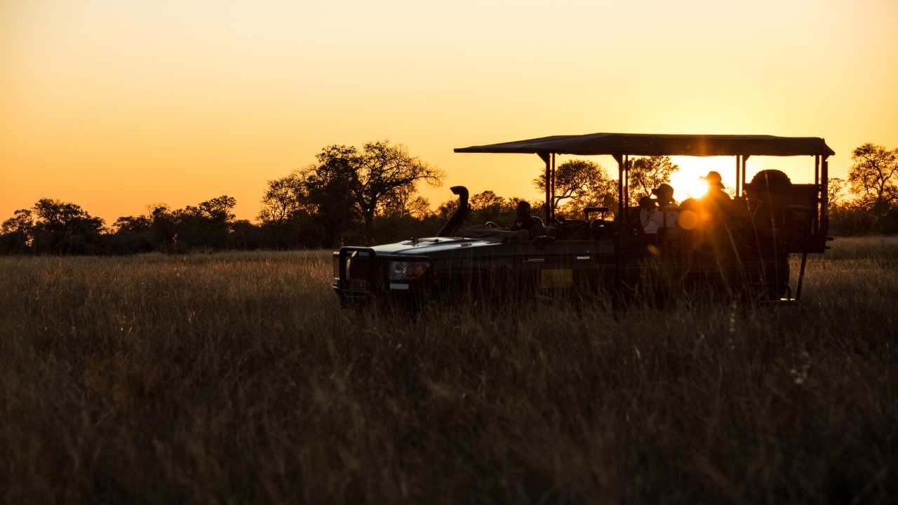 Evening Game Drives in Botswana sun setting with silhouette of game drive vehicle