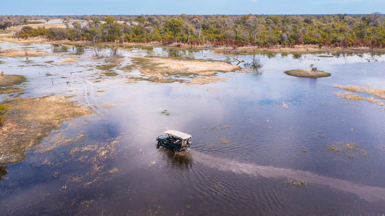 Aerial shot of the Okavango Delta with a safari vehicle driving through the wetlands in the foreground with the Okavango bush in the background. Early dawn.