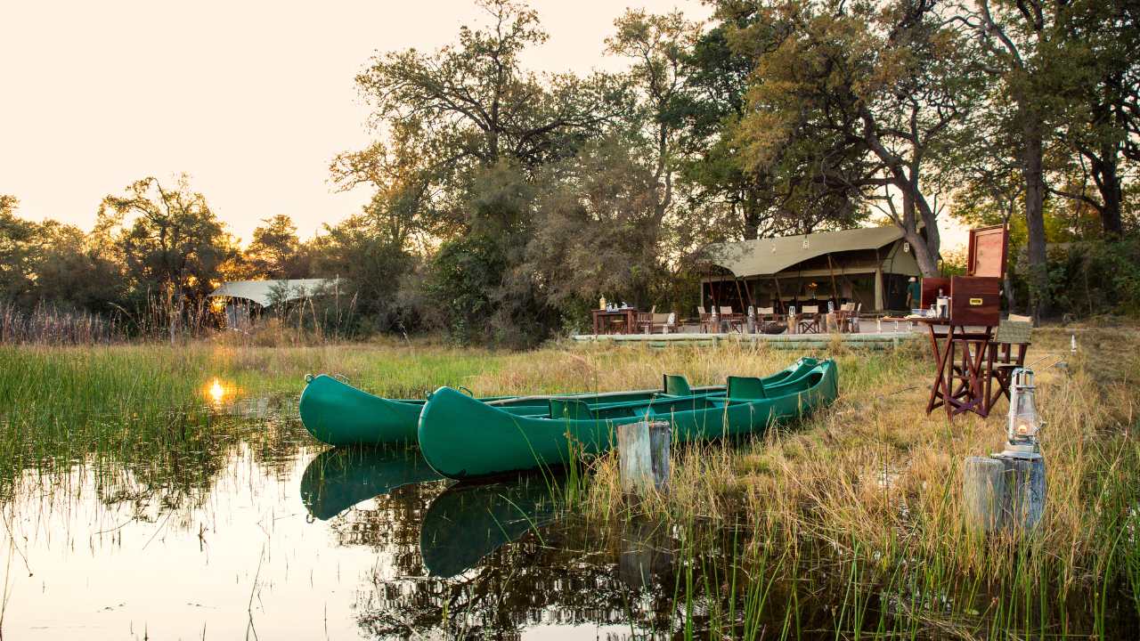 Two safari canoes parked up against the riverbank at the Okavango Explorers Club in the Okavango Delta in Botswana. Green canoes at late afternoon in the foreground, Okavango Explorers camp in the background.