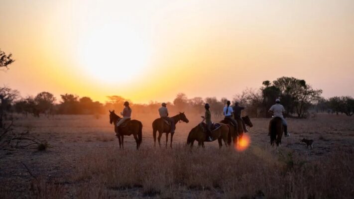 Group of horse riders at dawn getting ready for a safari experience in Zambia. Sun rising over African bush.