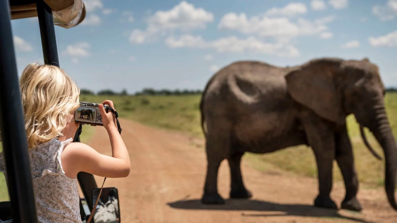 Young girl in a safari vehicle photographing an elephant on a family safari in Kenya.
