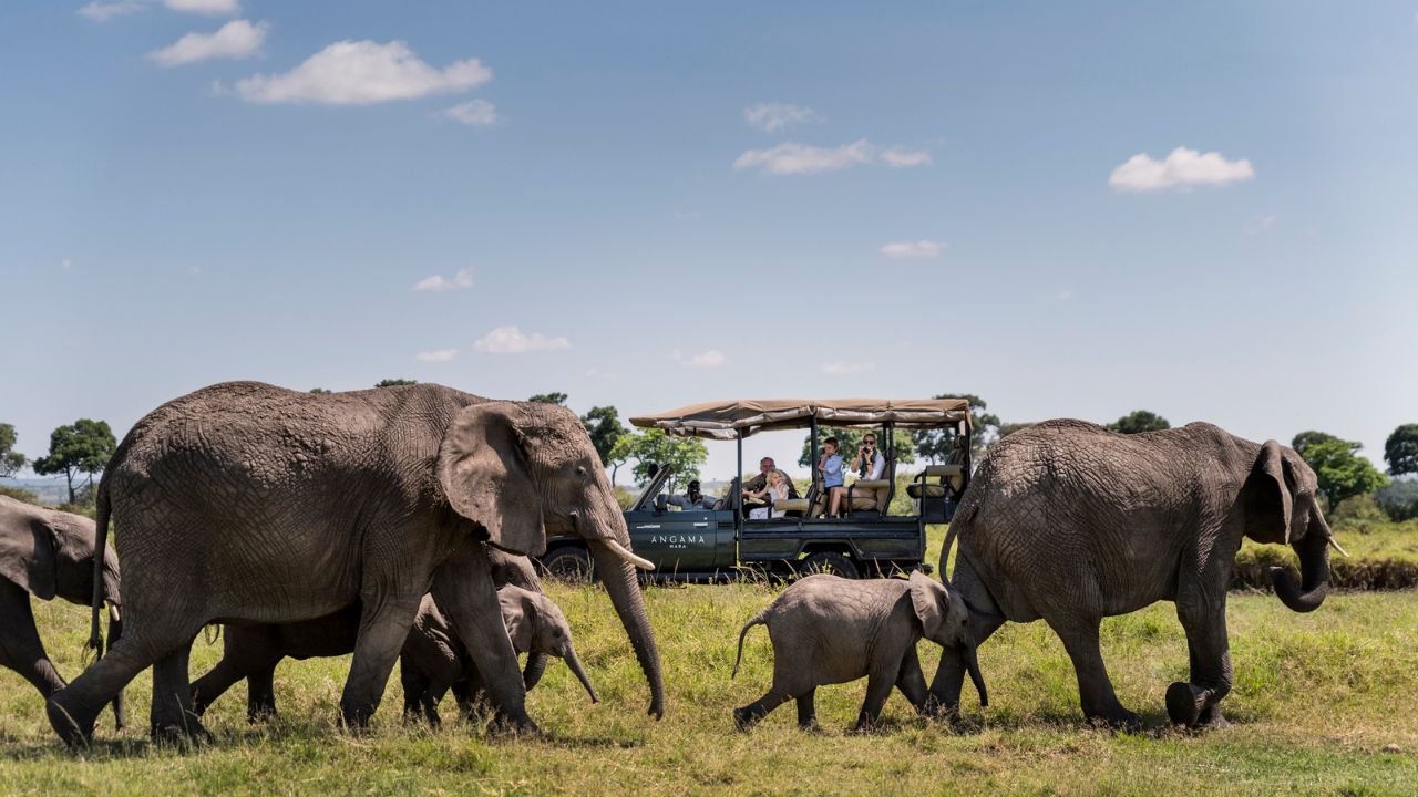 Herd of elephants with safari vehicle and family in the background on a Kenyan safari.