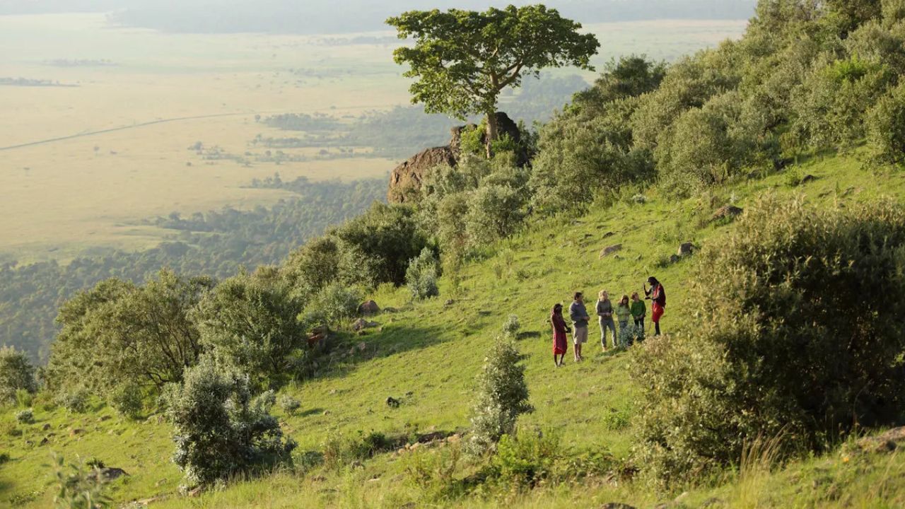 Maasai guide leading walking safari in Maasai Mara, Kenya, elevated view, African safari wildlife experience.