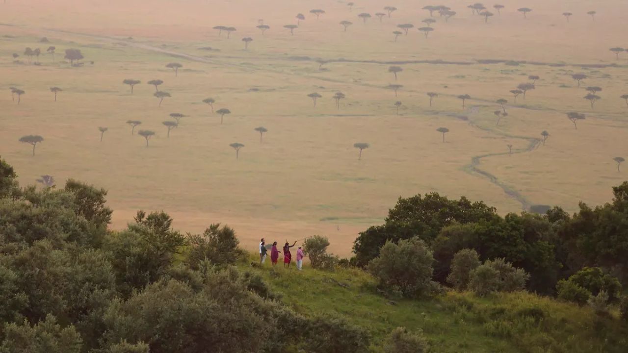 Maasai guide leading bespoke walking safari in Maasai Mara, Kenya, African safari wildlife and cultural experience.