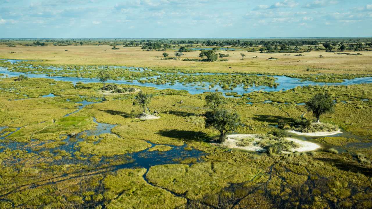 Aerial view of the vast expanse of the Okavango Delta in flood, waterways in the foreground, bush in the background, Botswana.