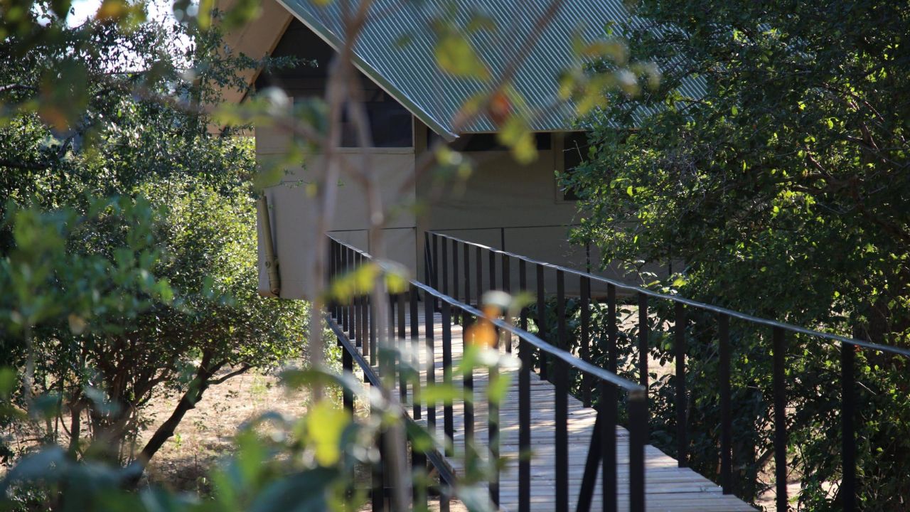 Boardwalk leading to an elevated guest suite at Kavinga Safari Camp, Zimbabwe.