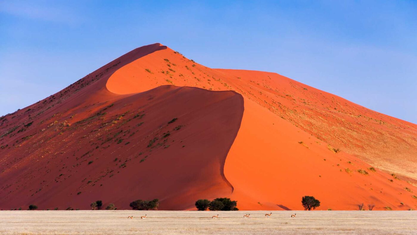 Image of Dune 7 in Namibia with antelope in the foreground with a blue sky in the background.