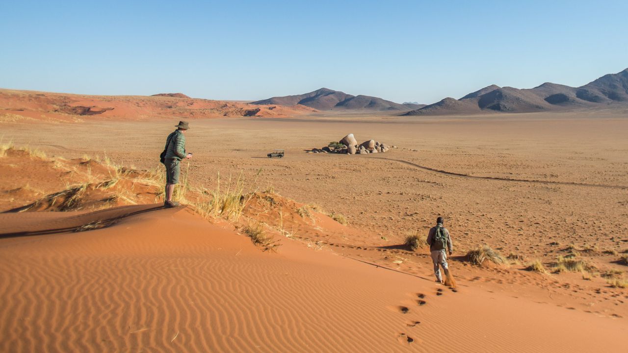 Guests walking with safari guide through Namib Desert dunes