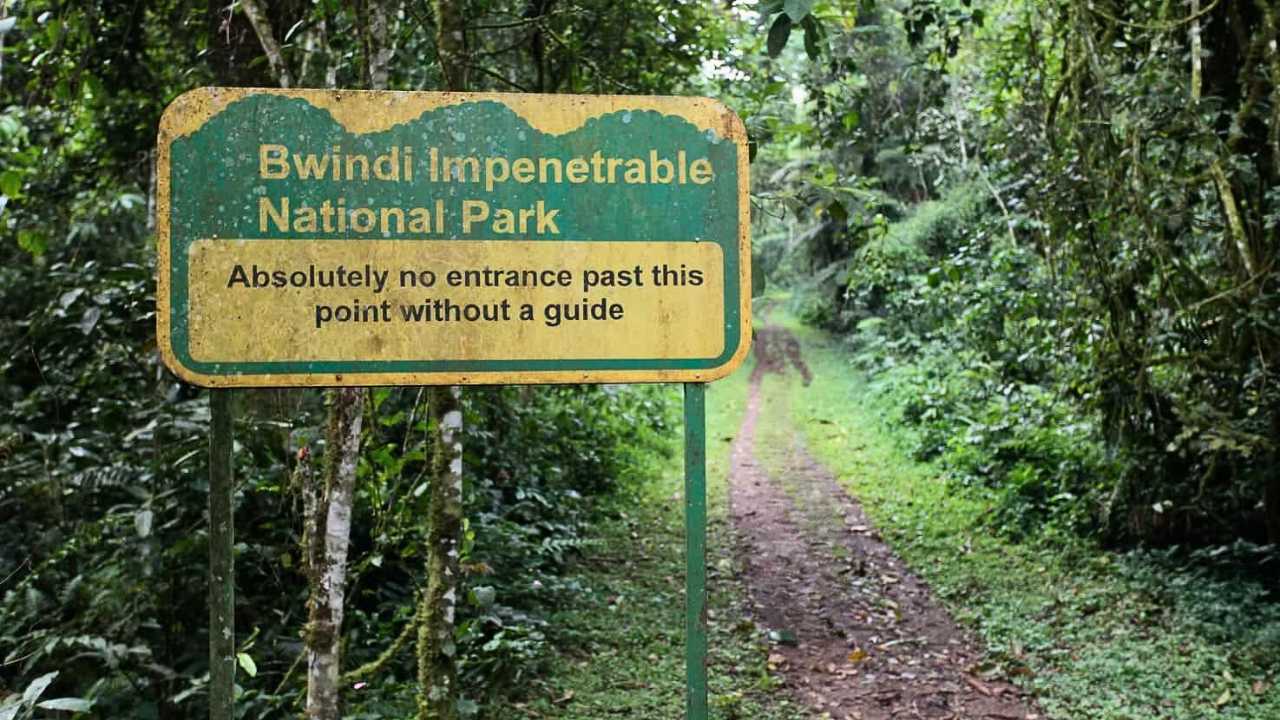 Sign at entrance of Bwindi Impenetrable Forest indicating no entrance without a guide.