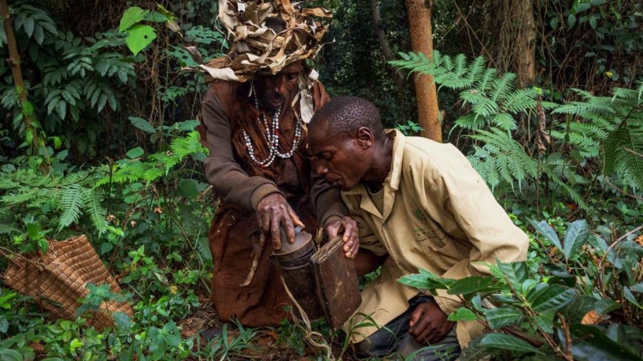 Batwa men foraging for food in dense Ugandan forest
