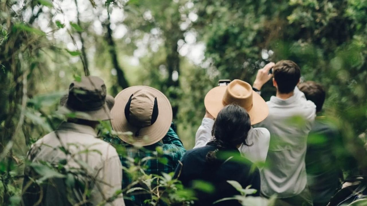 Guests observing wildlife on gorilla trekking safari in Bwindi