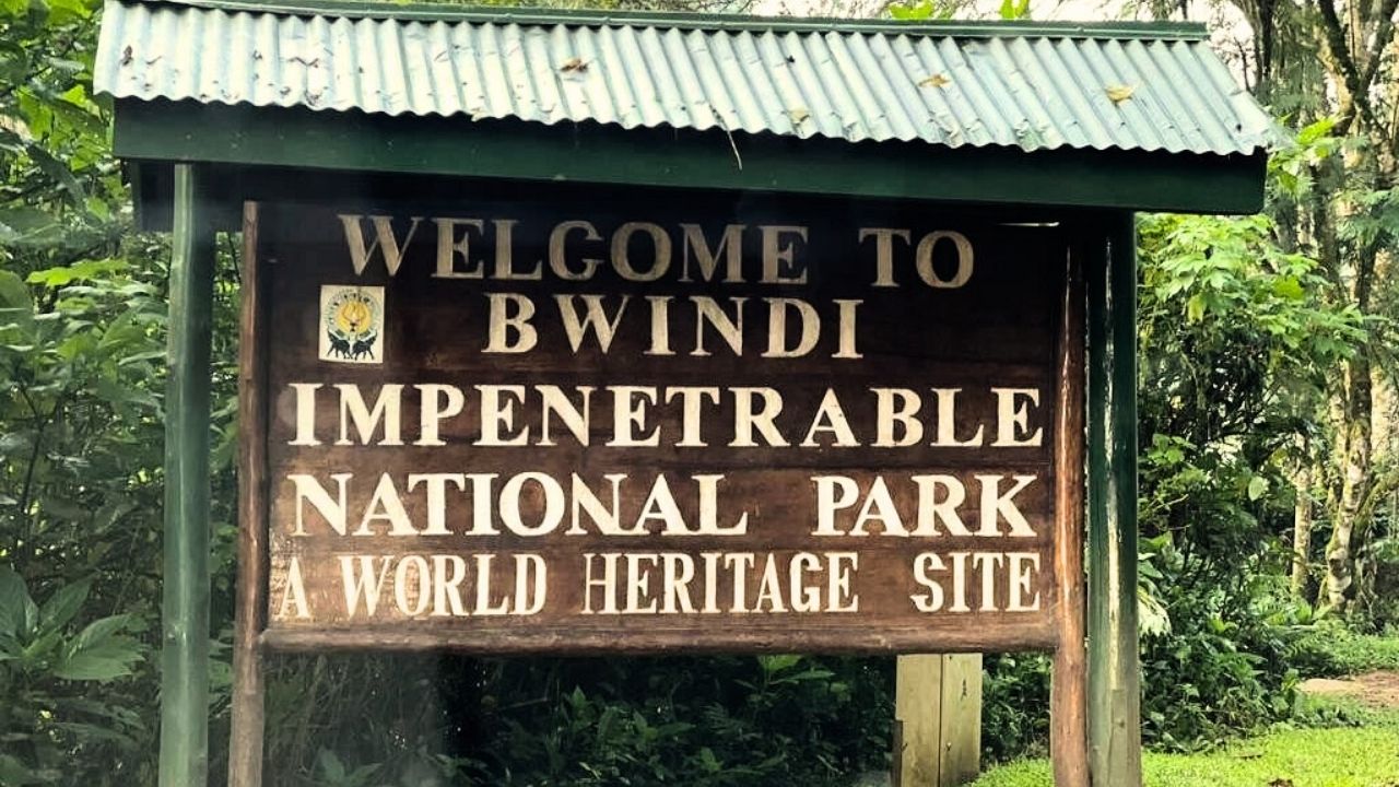 Welcome sign at Bwindi Impenetrable National Park entrance, Uganda