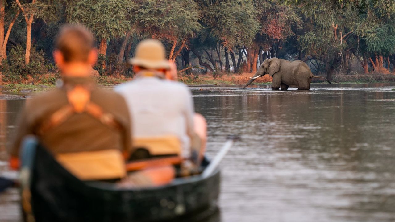 Guests in a canoe observing an elephant in the distance at Lower Zambezi National Park, Kutali Safari Camp, Zambia.