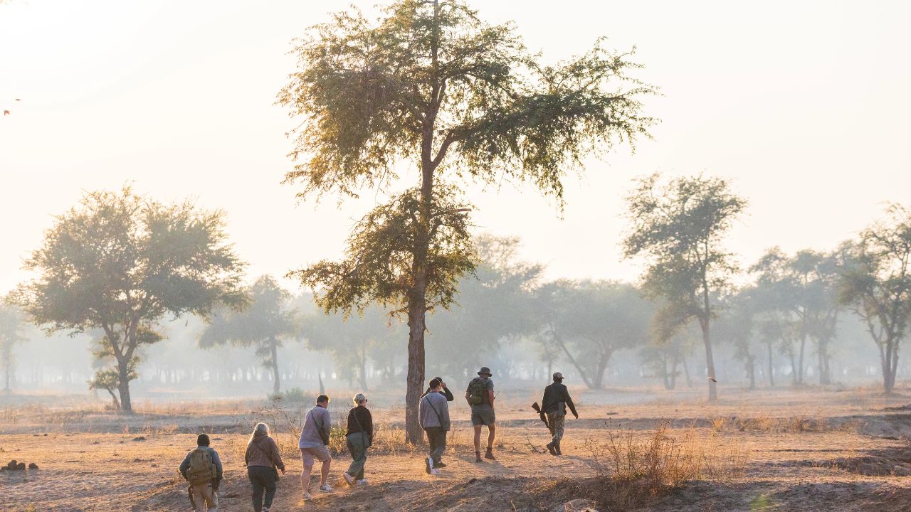 Safari guide with rifle leading guests on a walking safari in Lower Zambezi National Park, Zambia.