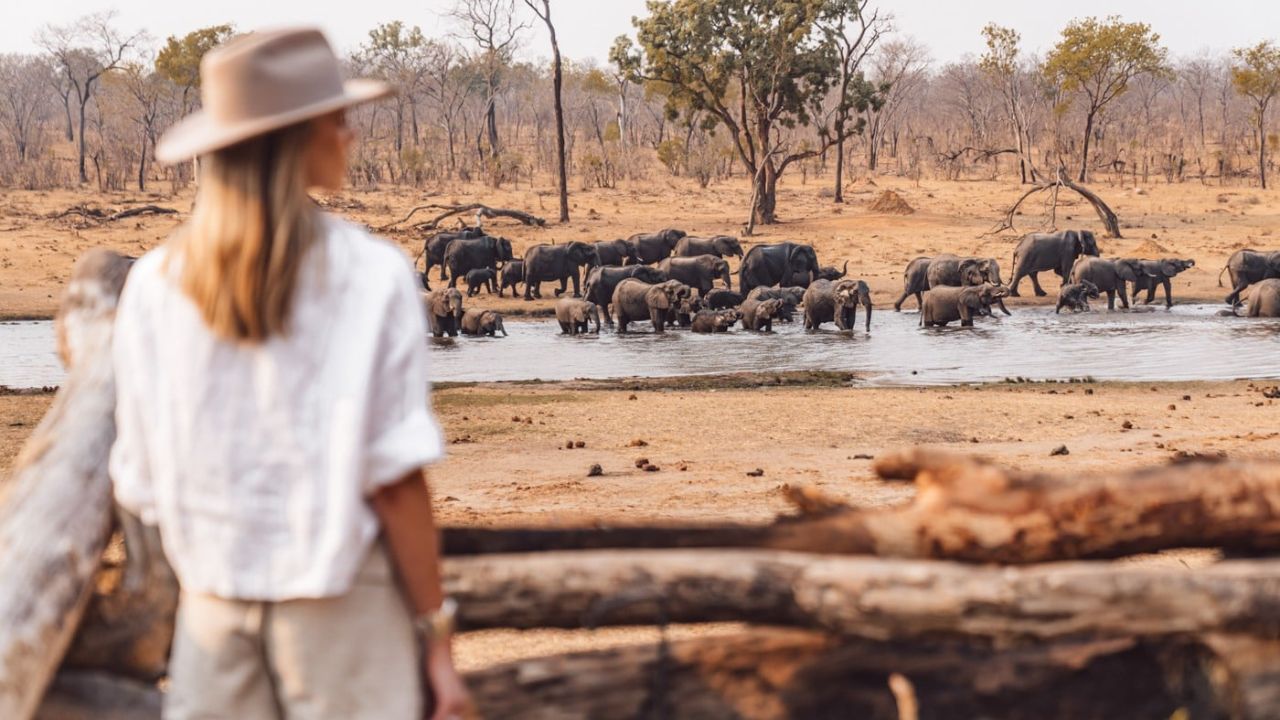 Woman looking over watering hole with herds of elephants