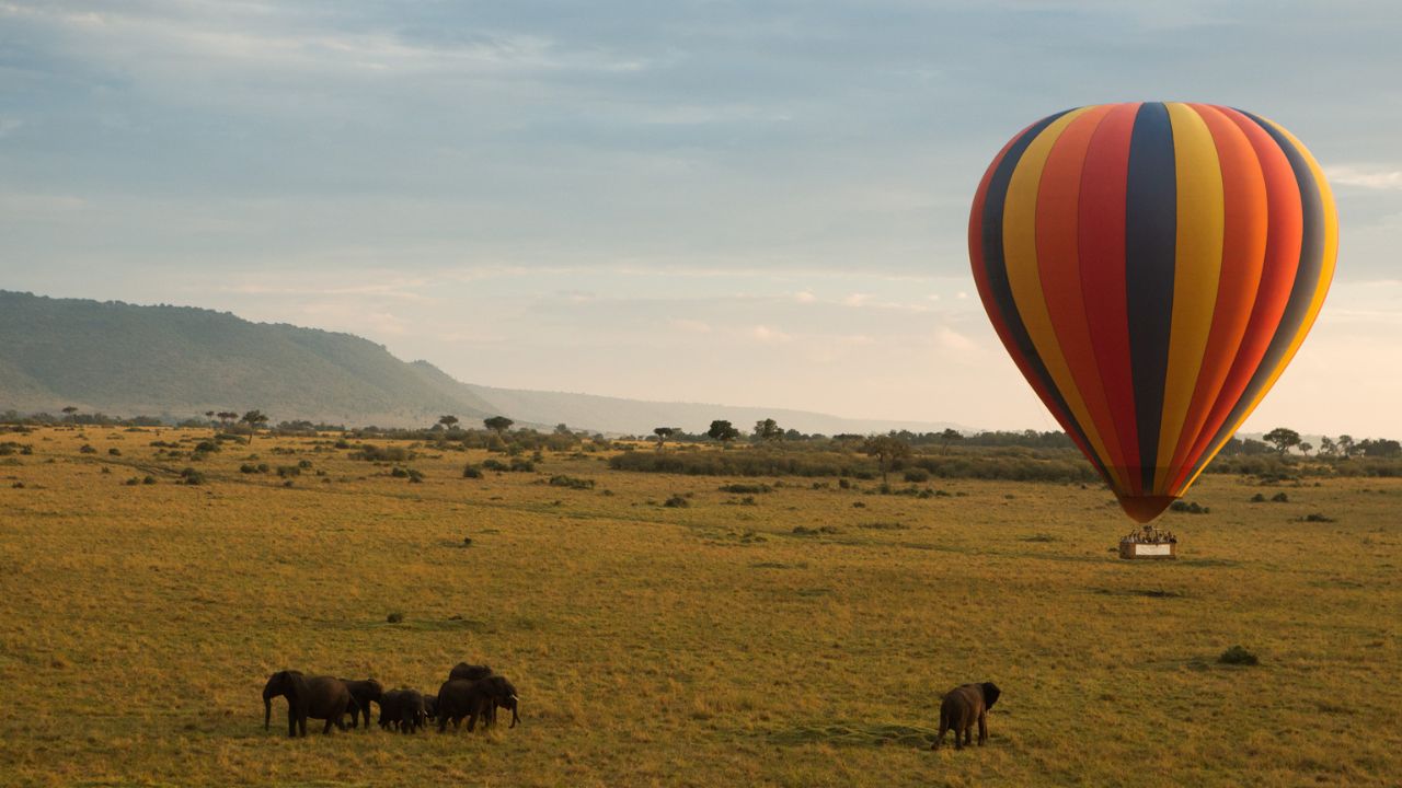 Small herd of six elephants roaming the Maasai Mara Plains with a hot air balloon in the background.