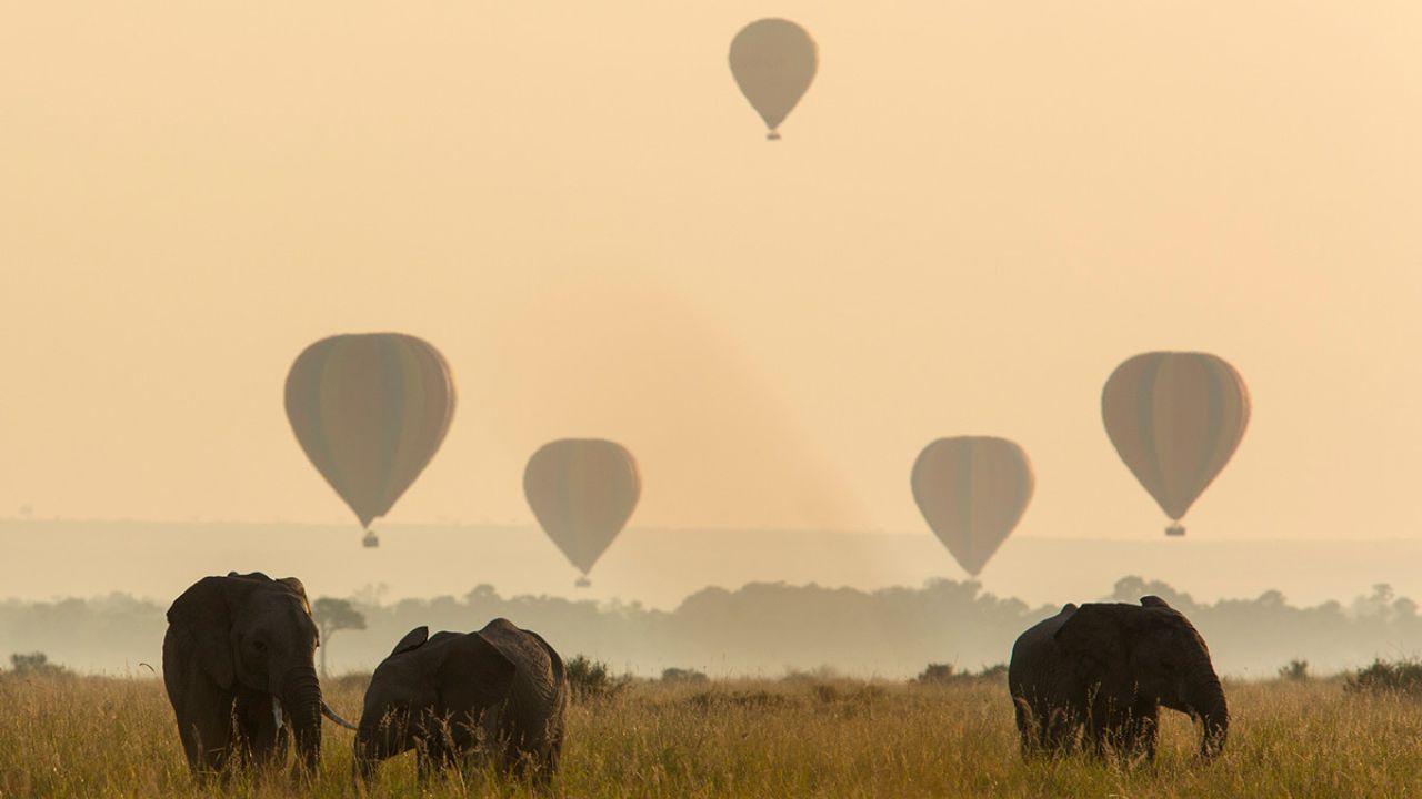 Hot air balloon safari in Kenya with elephants in the foreground at sunrise.