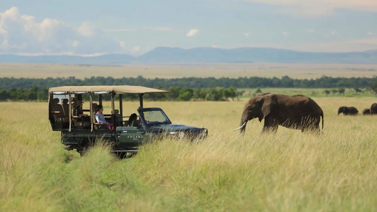Safari vehicle on Maasai Mara plains in Kenya with guests as an elephant walks nearby.