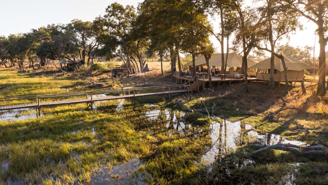 Wide-angle view of the boardwalk and main guest lodge at Duba Explorers Camp with sunlight in the background, Okavango Delta, Botswana.