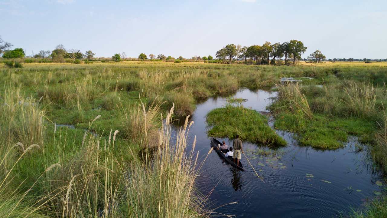 Aerial view of a guide leading guests on a canoe safari in Botswana’s Okavango Delta