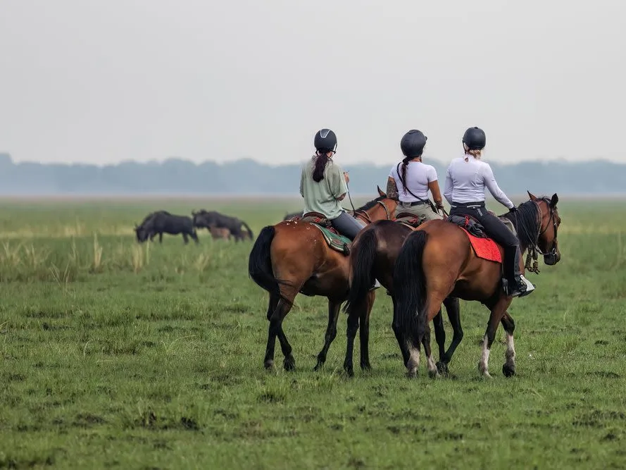 Three women on horseback riding through grass plains in Zambia, sighting wildebeest game in the distance on a horseback safari.