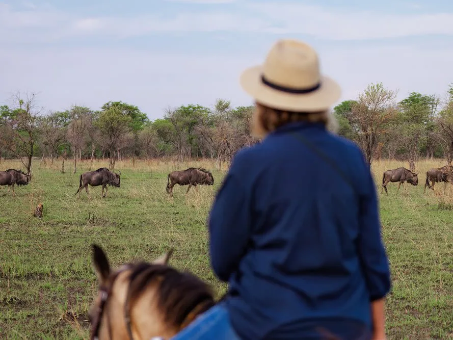 Woman on horse, observing wildebeests on a Zambian African horseback safari, wearing a hat with wildebeest in the background.
