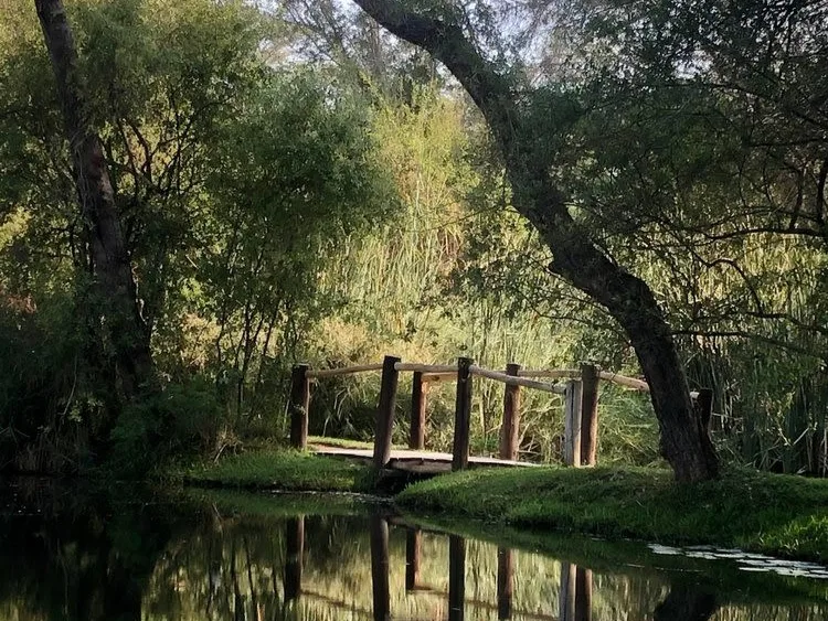 Gardens at Chundukwa Lodge in Zambia, looking over the pond at the wood bridge.