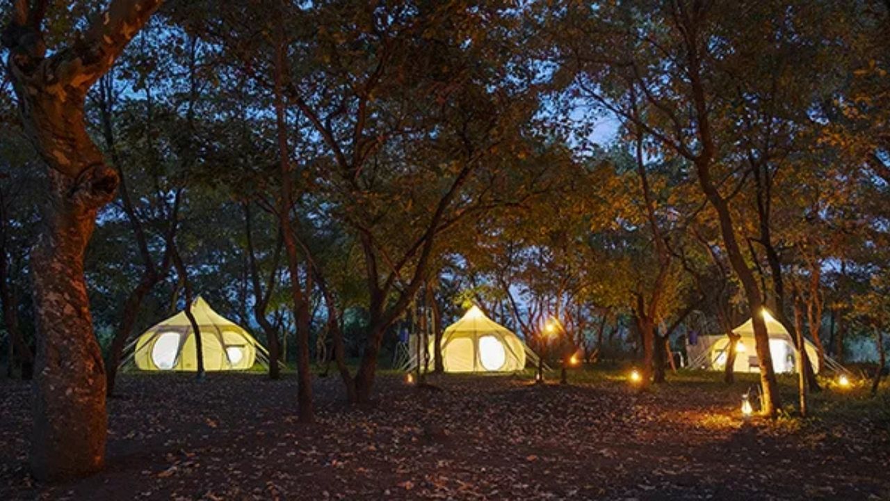 Ethiopian tented accommodation lit in evening among trees