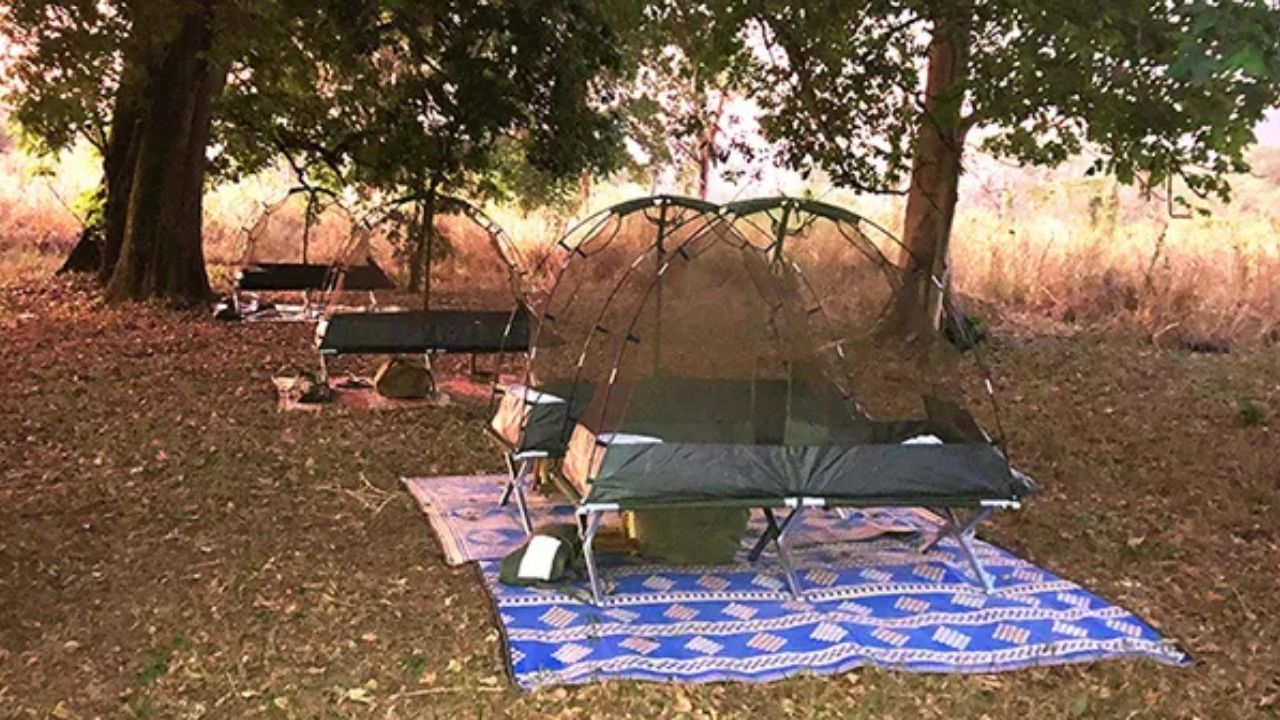 Elevated basic Ethiopian fly tents off the ground