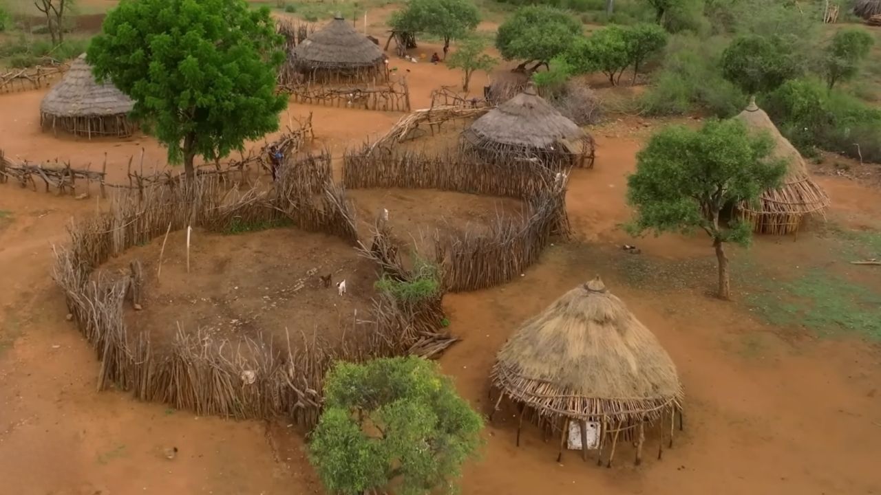 Wide-angle aerial view of Omo Valley traditional village with grass and mud huts.