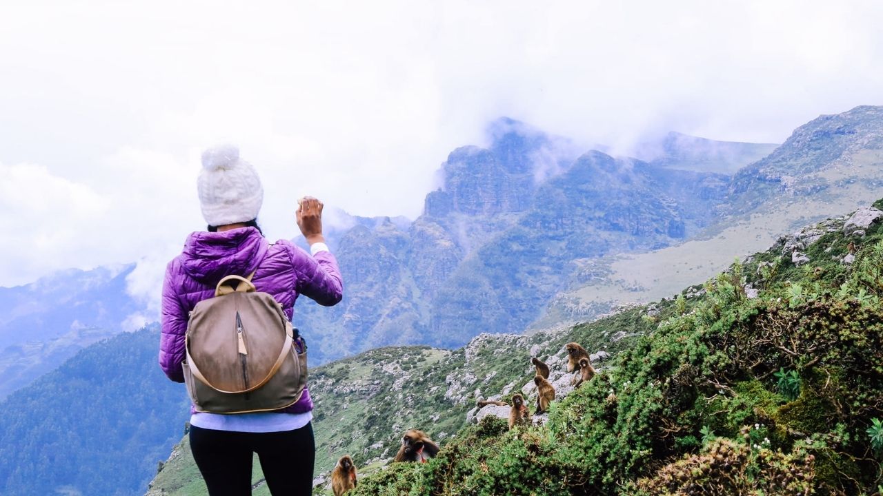 Guests watching gelada monkeys in Simien Mountains, Ethiopia