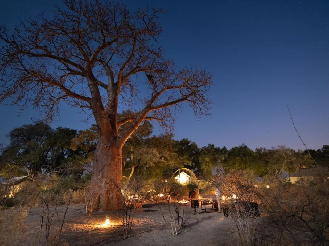 Sitatunga Private Island at night with a log fire under a big baobab tree