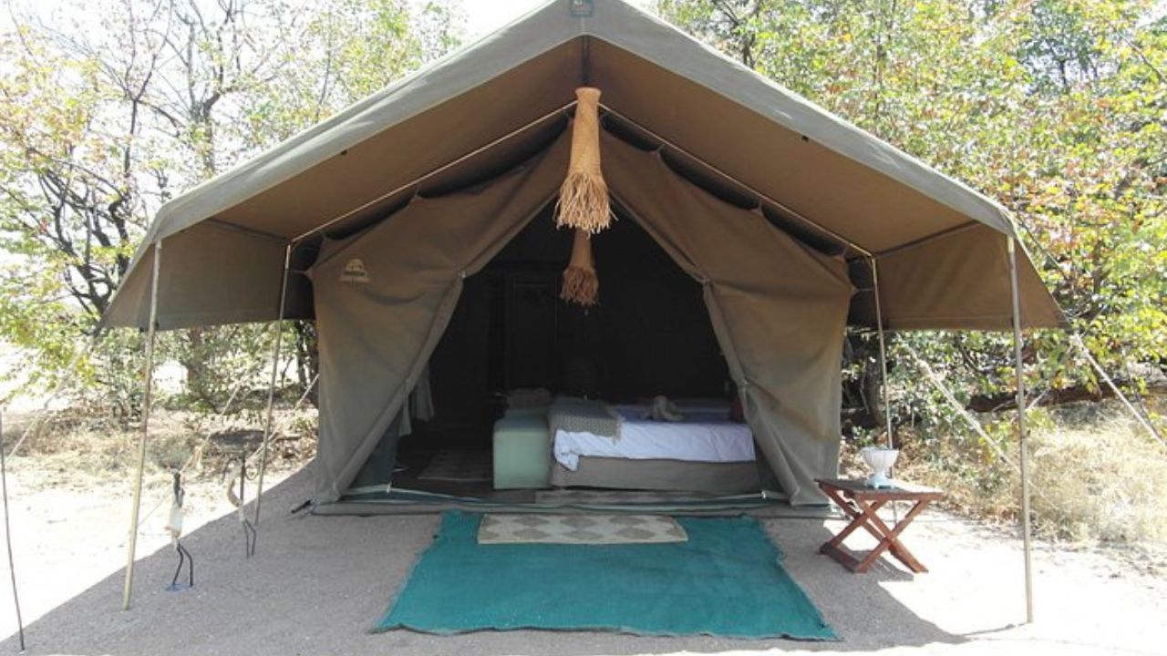 Twin room in tented accommodation at Hwange Bush Camp, Zimbabwe, with views of wild bush. Perfect for luxury safari lodges, Southern Africa travel, and Zimbabwe wildlife experiences.