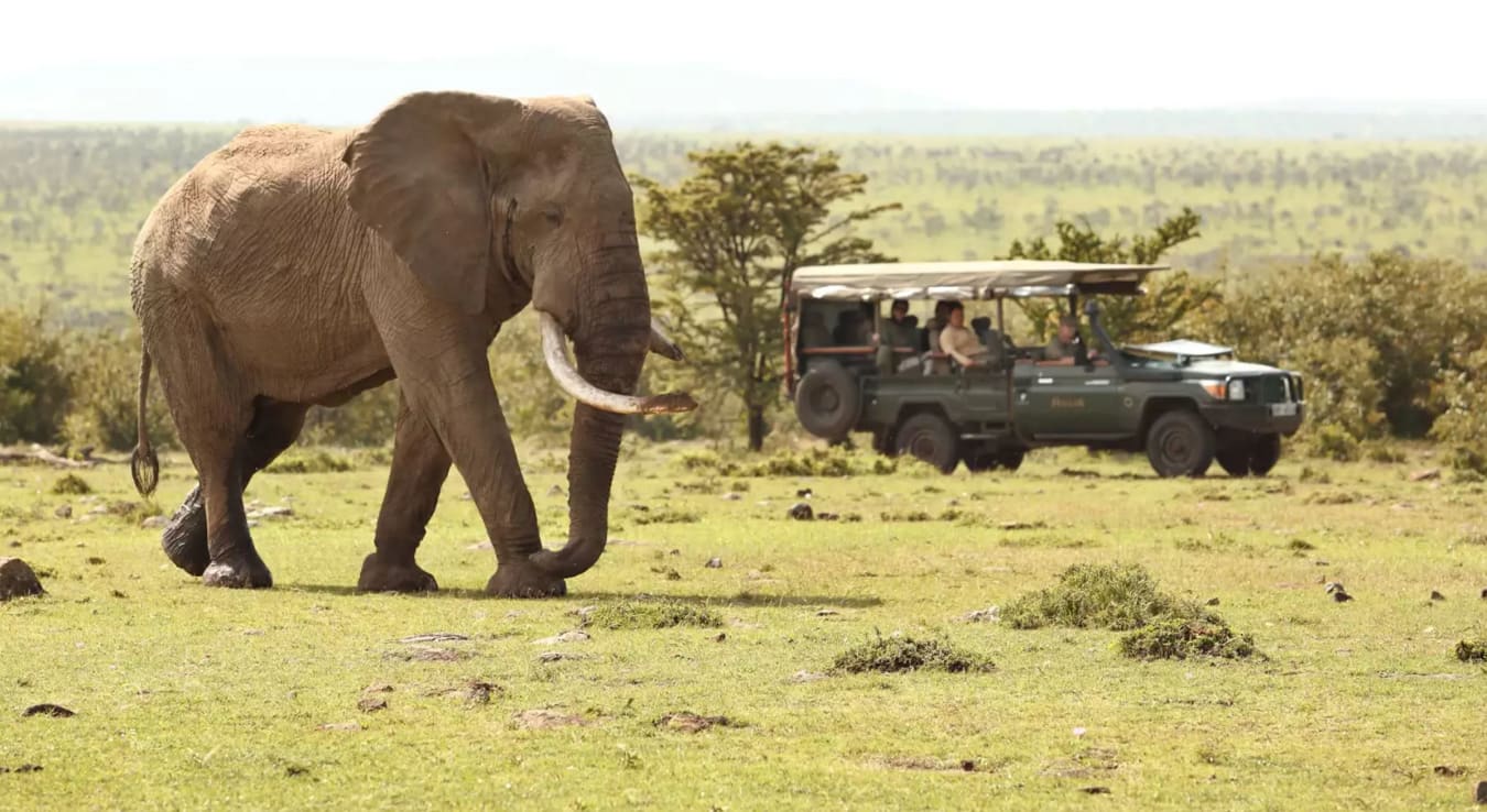 Huge bull elephant with left tusk broken in foreground with safari vehicle watching on in background on a Kenyan safari.
