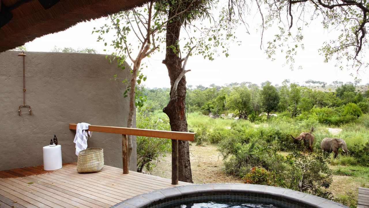 Private suite shower outdoors with plunge pool and bush views at Londolozi Varty Camp