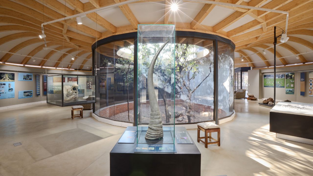 Entrance to impressive reception area with glass walls, circular layout, and African memorabilia