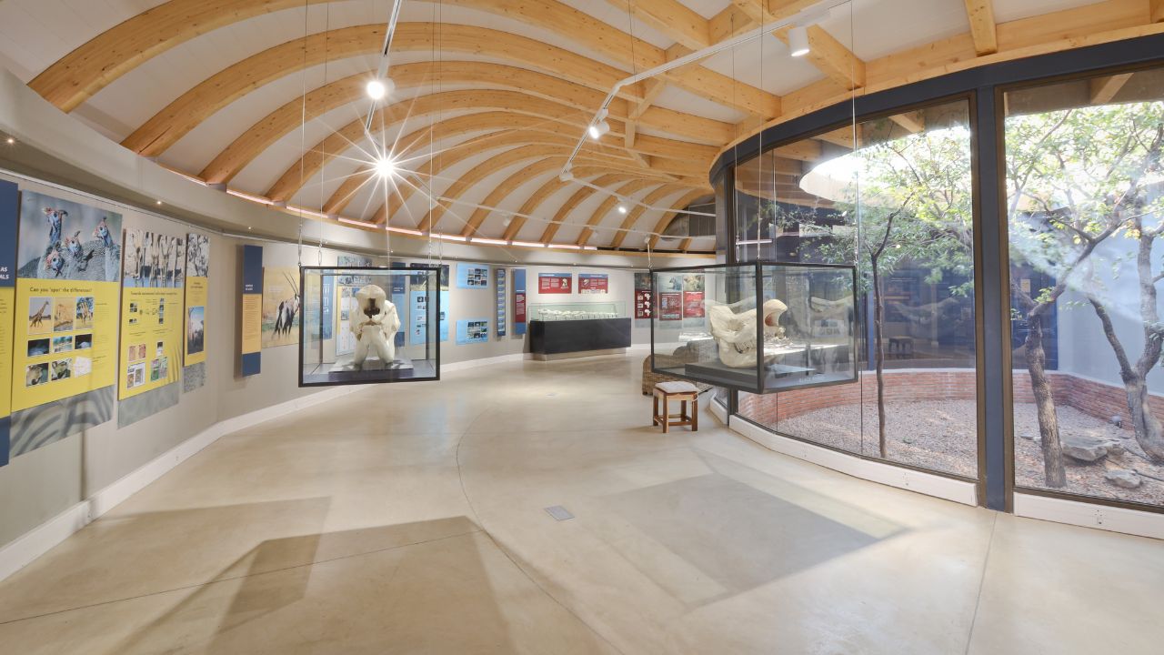 Reception area with African artifacts, information displays, and welcoming décor