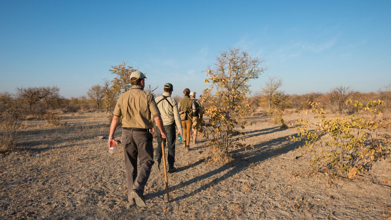Guests on private walking safari through desert terrain