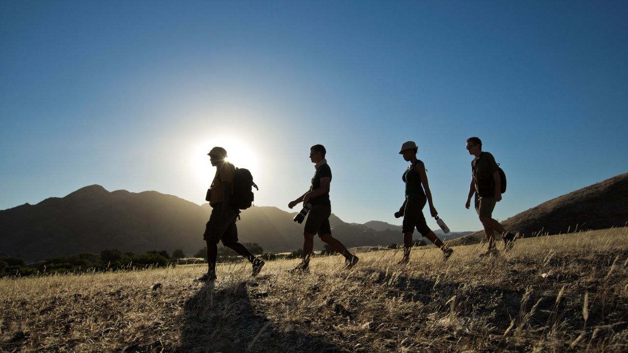 Silhouette of guide leading guests on walking safari through desert landscape