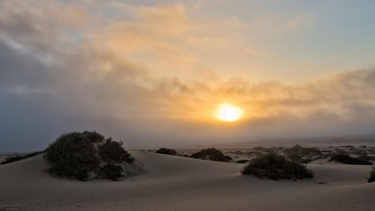 Vast desert plains with sun setting on horizon