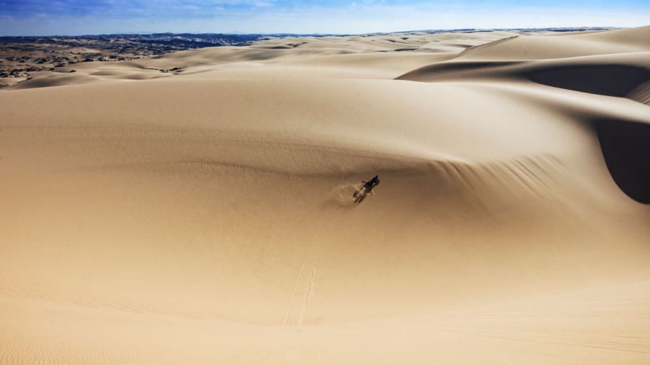 Vast expanse of golden dunes on right, beach and ocean on left, Skeleton Coast