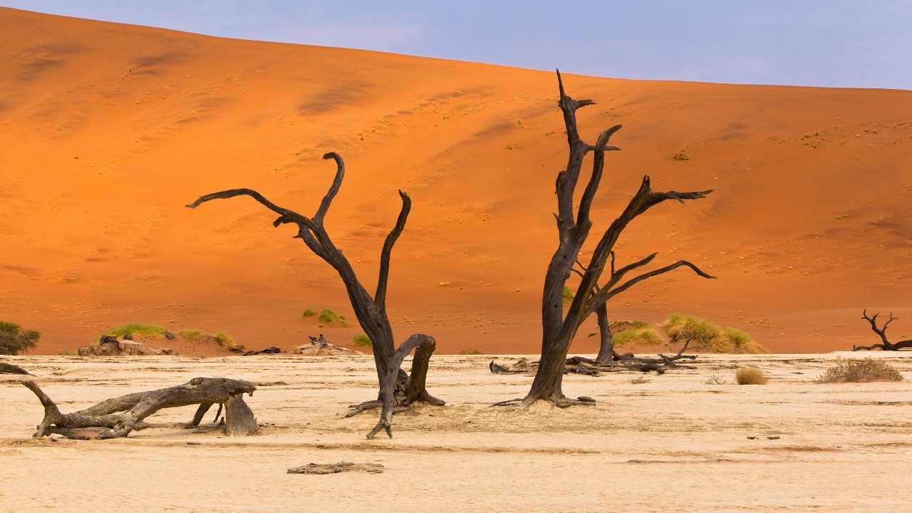 Incredible red sand dunes of Sossusvlei in Namibia under clear skies.