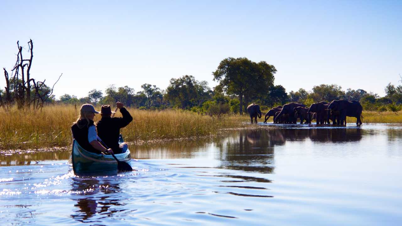 Guests in a canoe on a calm river during a safari in Botswana’s Okavango Delta, with elephants in the distance.
