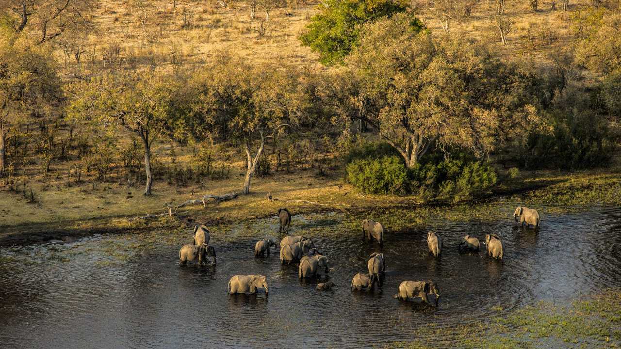 An Exclusive Journey Through Southern Africa's Most Extraordinary Wild Spaces