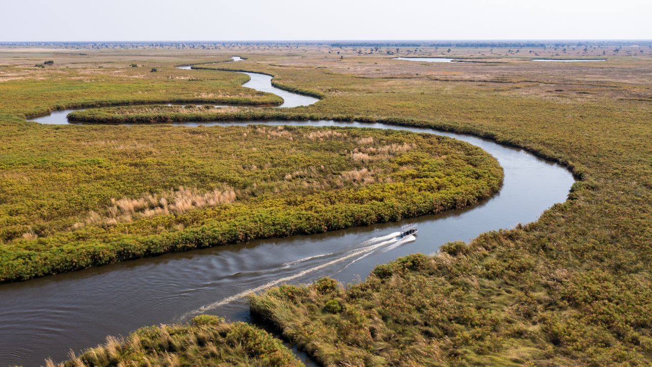 Long winding river flowing through the grass plains of the Okavango Delta, Botswana.