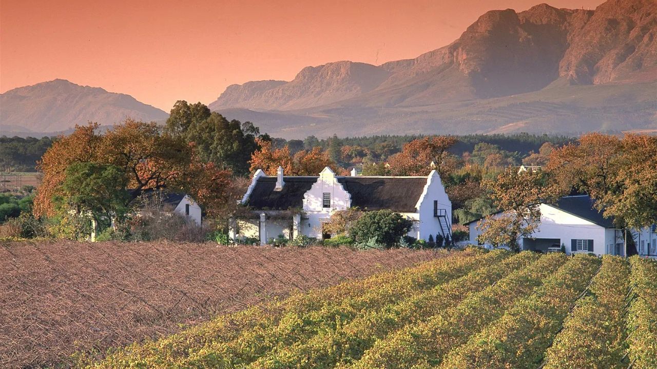 Cape Dutch house on vineyard with red sunset skies, Stellenbosch