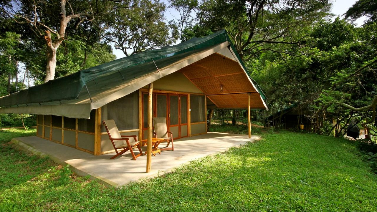 Side view A-frame bungalow Ishasha Wilderness Camp Uganda