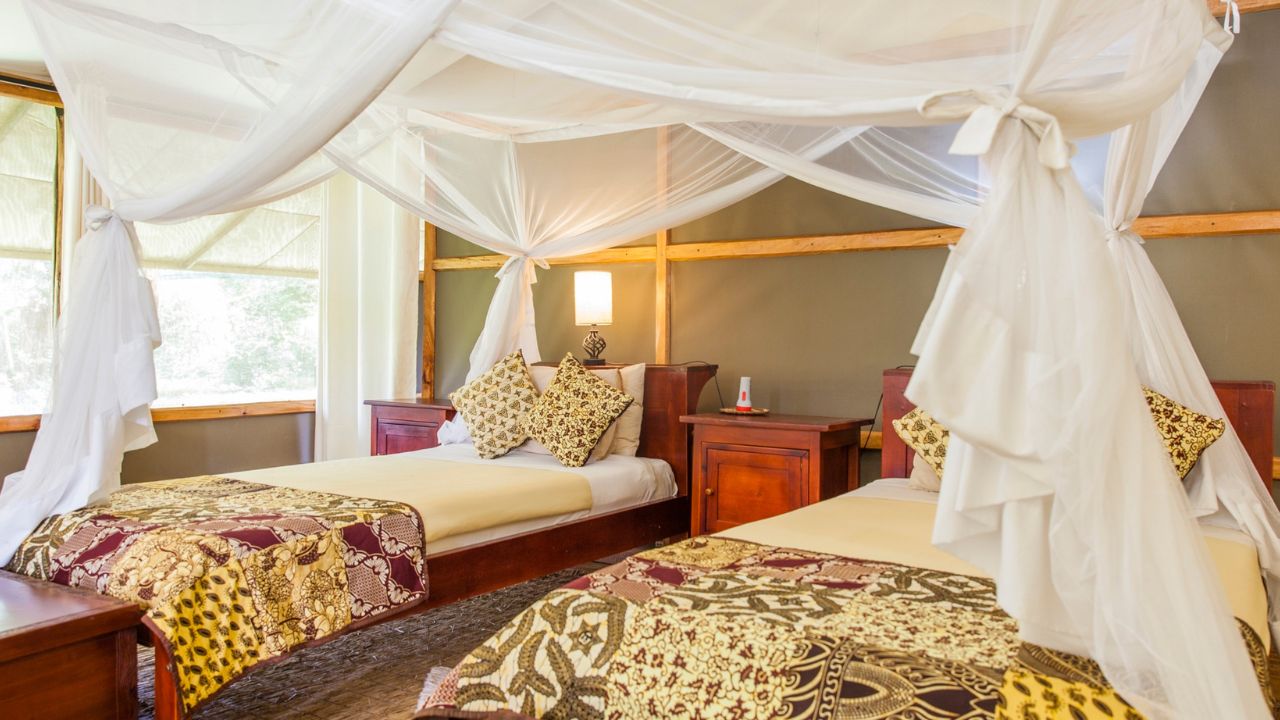 Twin room with mosquito nets Ishasha Wilderness Camp Uganda